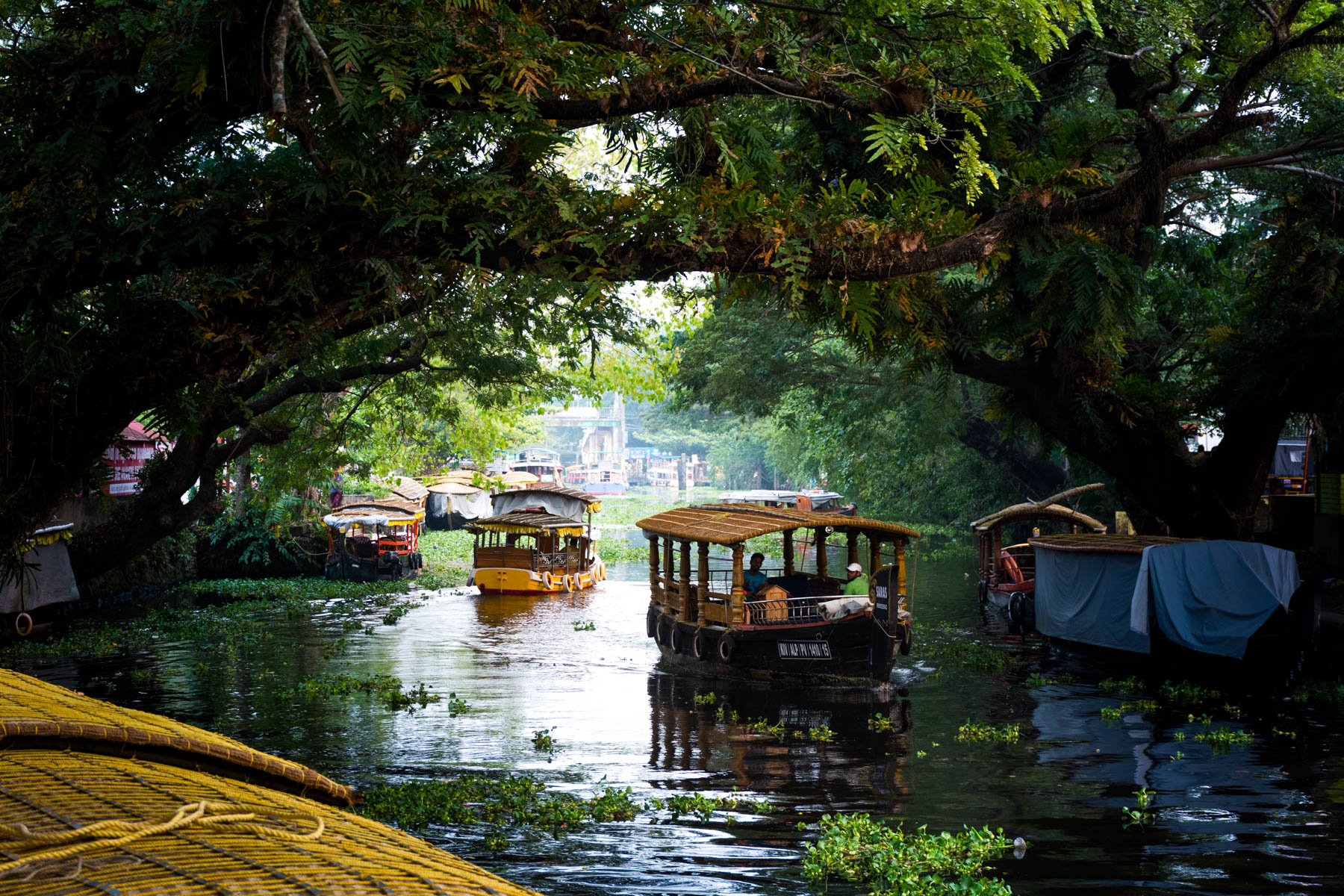 Kerala Backwaters Bliss